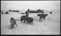 Image of Camp site: dogs, men, stacked snow blocks